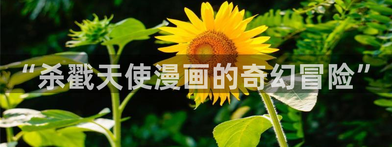 韩漫91漫画：“杀戳天使漫画的奇幻冒险”